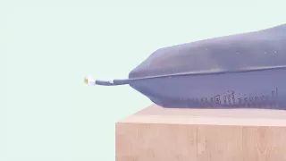 Folding Memory